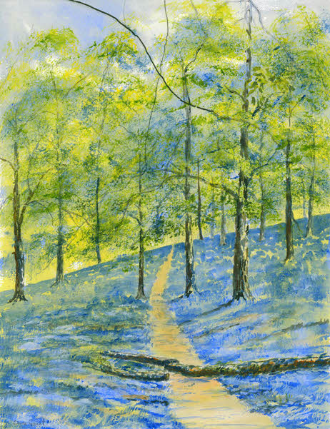 Spring Wood near Hawkshead