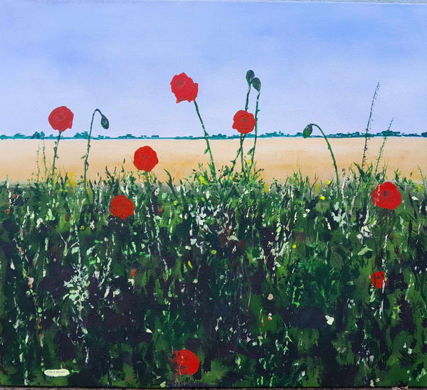 Norfolk Poppies 